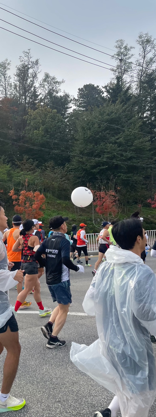6728b2c5b34e8613d7d6b57b1a391f53_1667191818_8803.jpg
